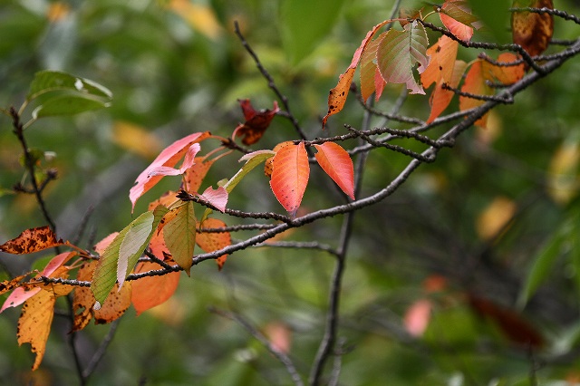 a0242438_18454183.jpg