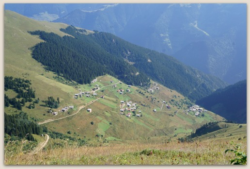 d0227344_3472392.jpg