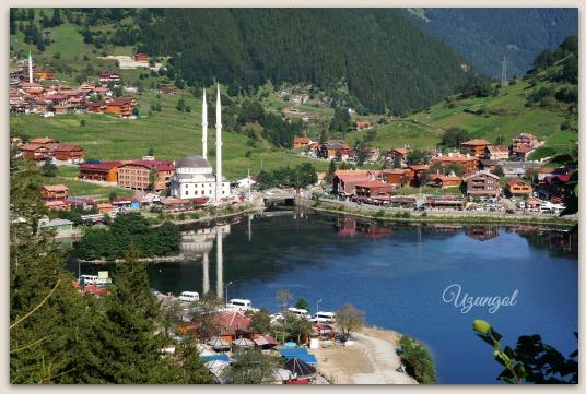 d0227344_3535651.jpg