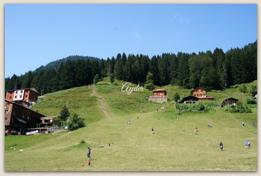 d0227344_4165062.jpg