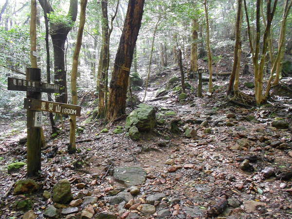 a0206345_16274281.jpg