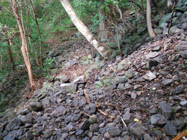 a0206345_1633134.jpg