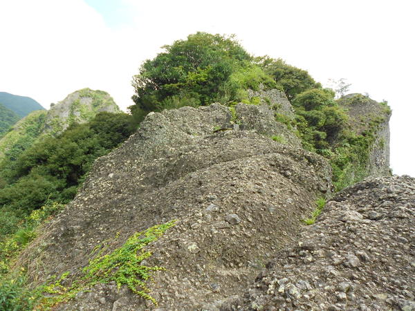 a0206345_1655619.jpg