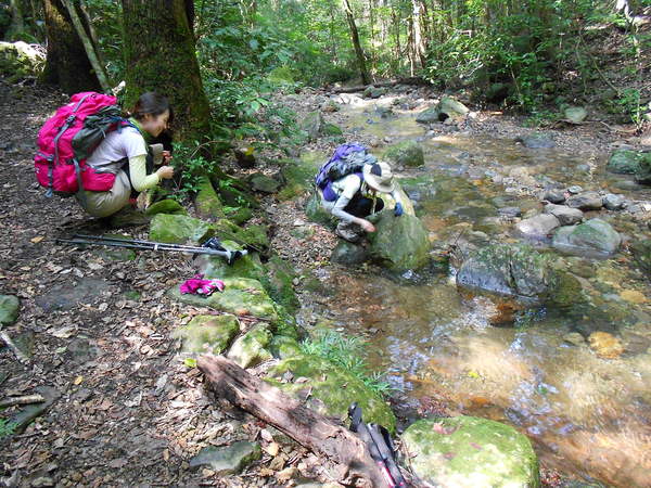 a0206345_1732032.jpg