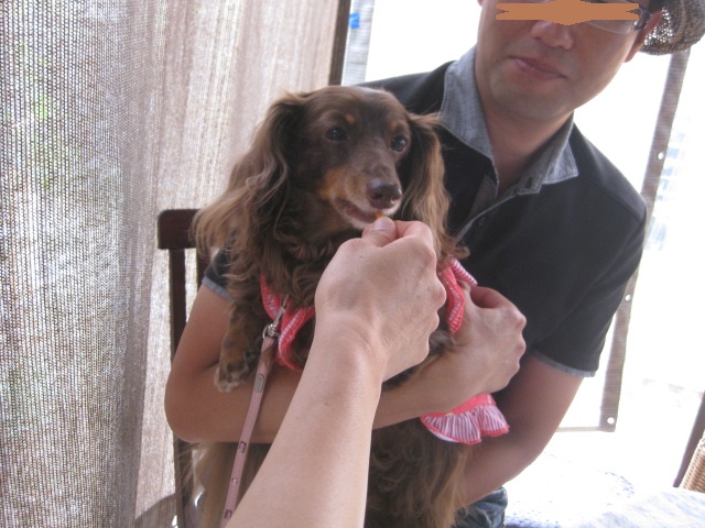 c0134645_21758100.jpg