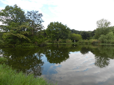 e0172950_20315563.jpg