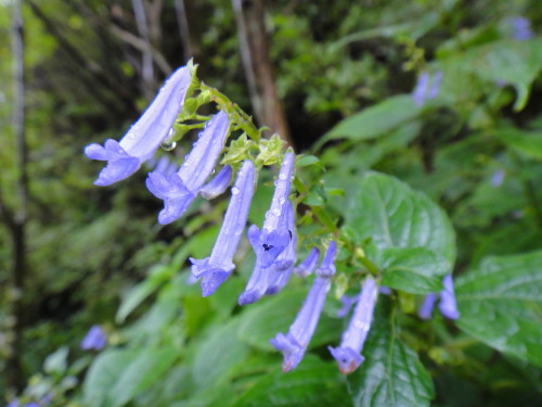 c0179351_21462883.jpg