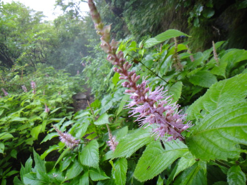 c0179351_2147403.jpg