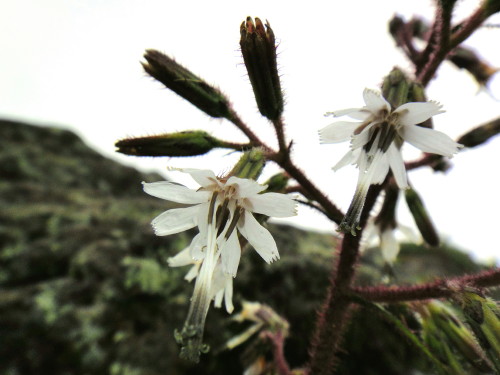 c0179351_21494276.jpg