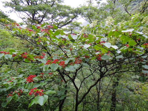 c0179351_21503827.jpg