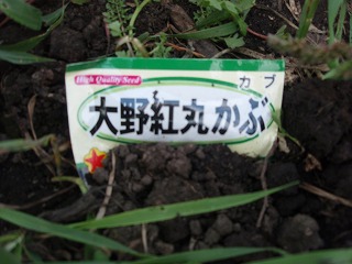 e0004756_212822.jpg