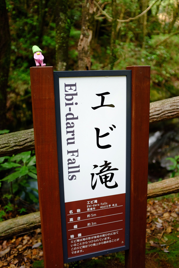 c0048265_2246261.jpg