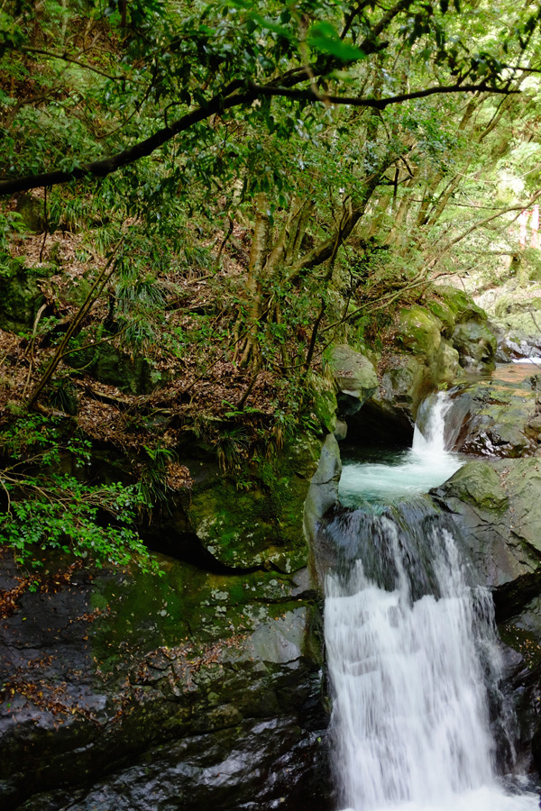 c0048265_2248187.jpg