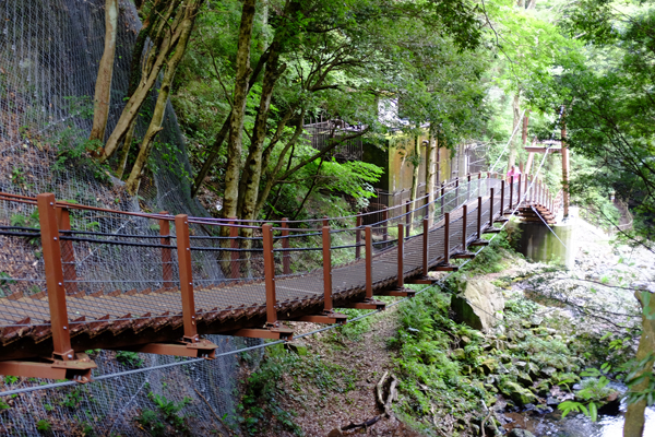 c0048265_22482158.jpg