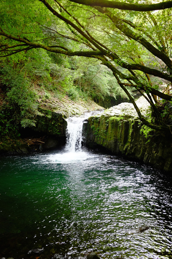 c0048265_22494481.jpg