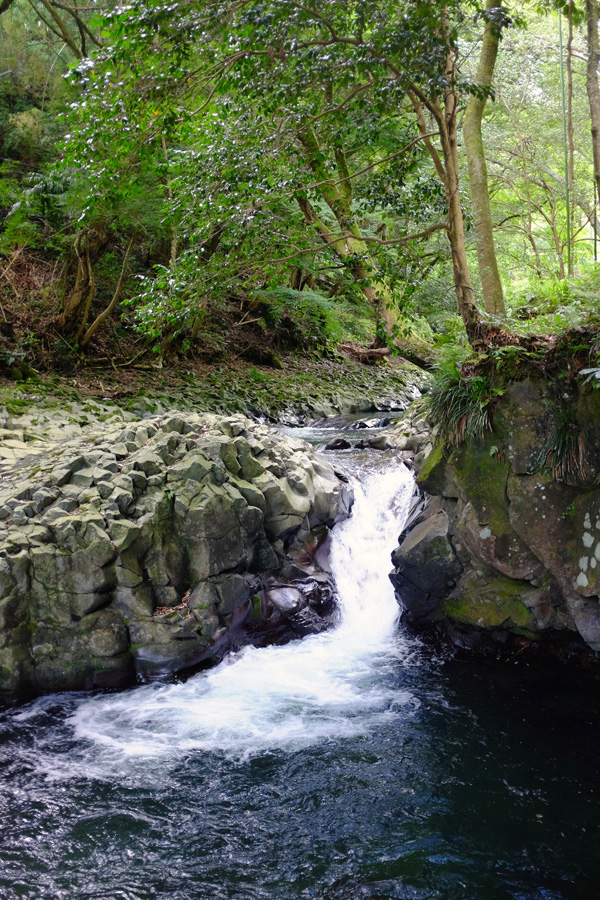c0048265_23514686.jpg