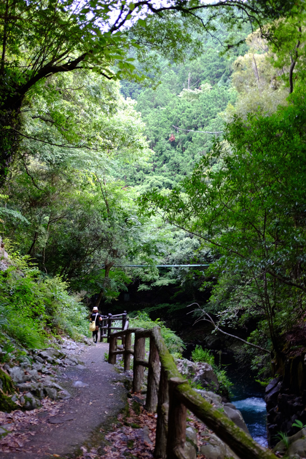 c0048265_23521439.jpg