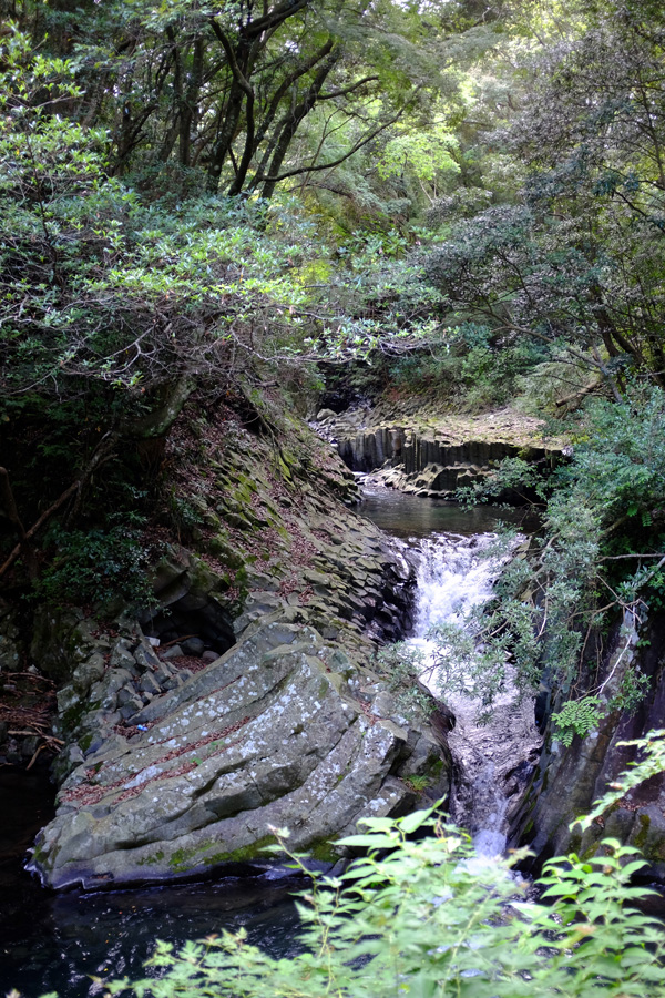 c0048265_23574669.jpg