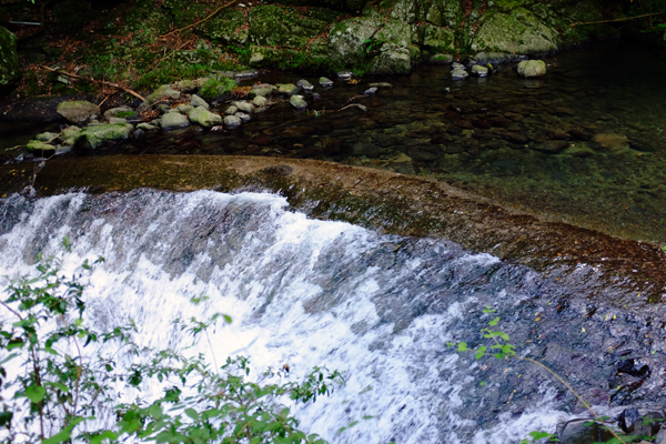 c0048265_2358276.jpg