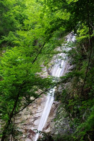 e0045768_21261676.jpg