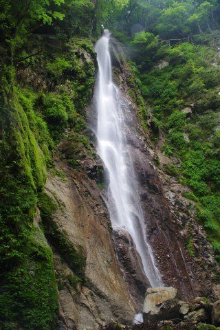 e0045768_21305376.jpg