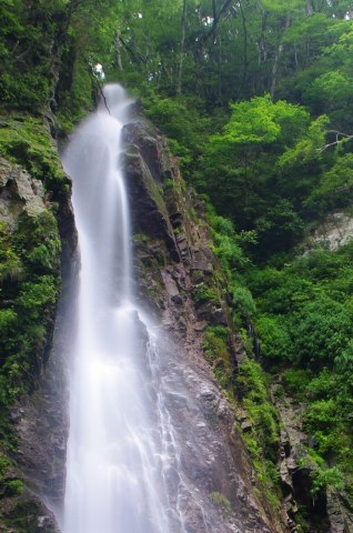 e0045768_2134963.jpg