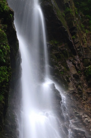 e0045768_21482344.jpg
