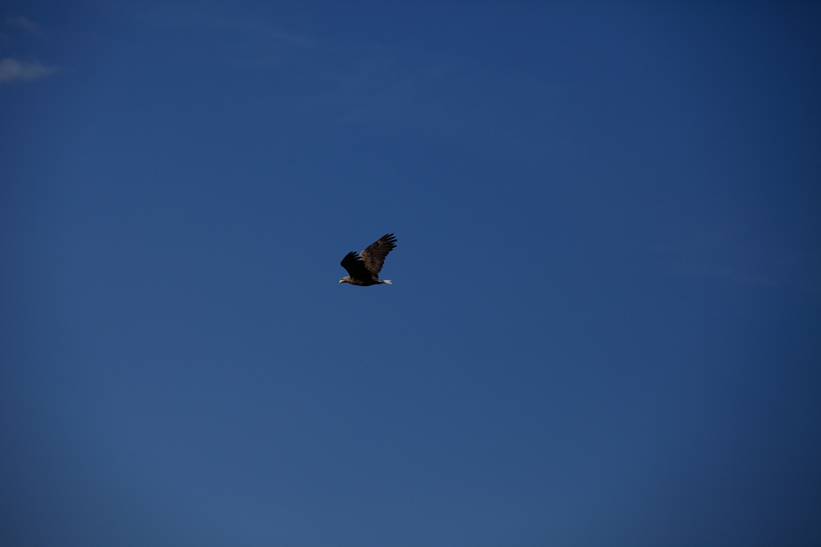 a0042970_19202144.jpg