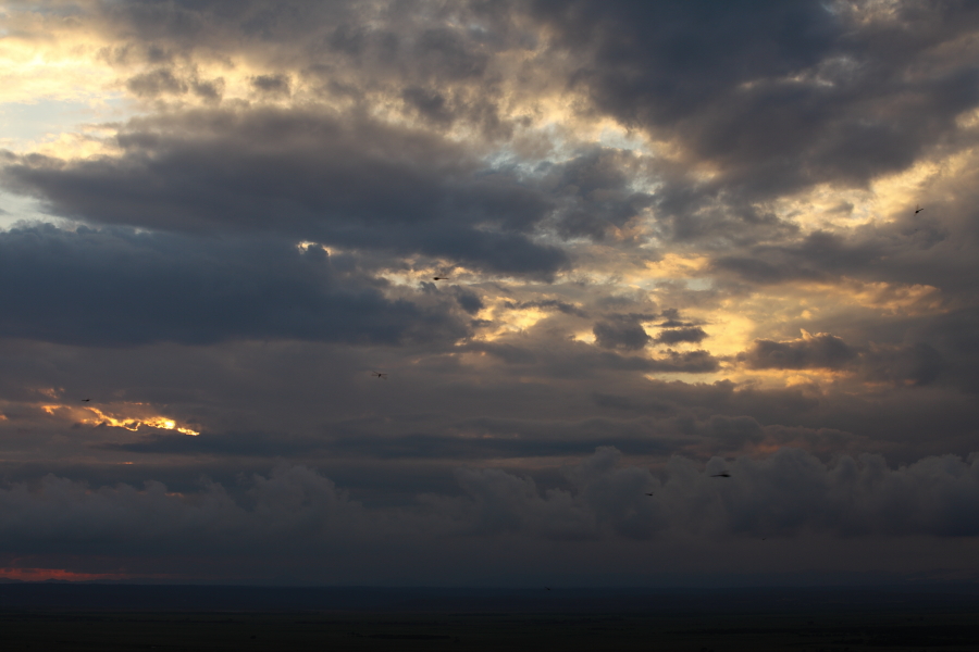 a0042970_1920233.jpg
