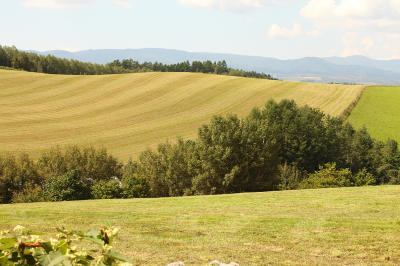 a0042970_19235213.jpg