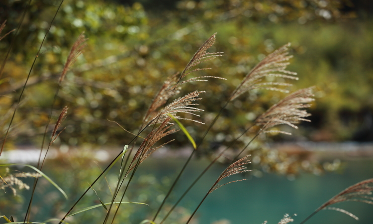 a0042970_19425019.jpg