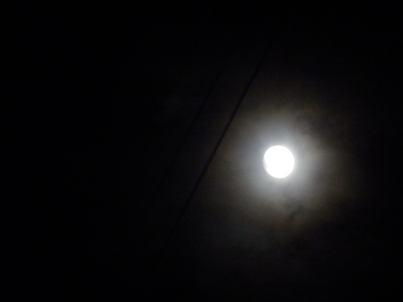 e0292172_20481417.jpg