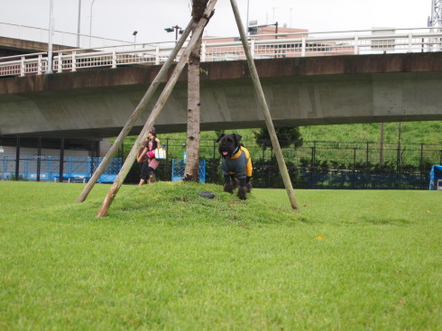 f0310873_19052776.jpg