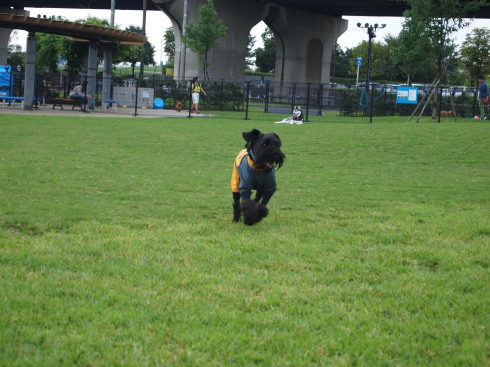 f0310873_19053900.jpg