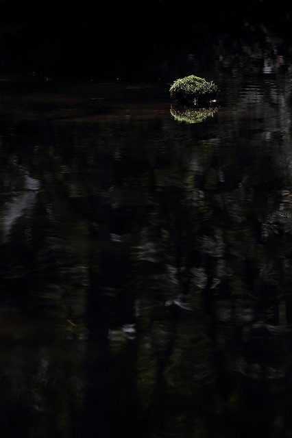 d0255874_2115675.jpg