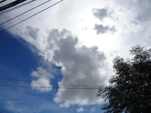 a0002177_12542943.jpg