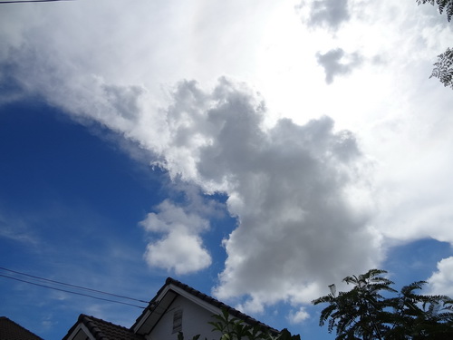 a0002177_1255118.jpg
