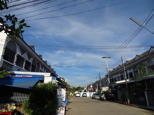 a0002177_1256049.jpg