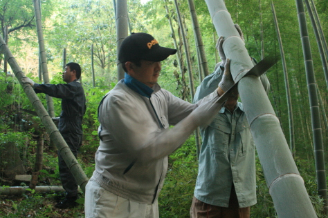 c0329378_06233500.jpg