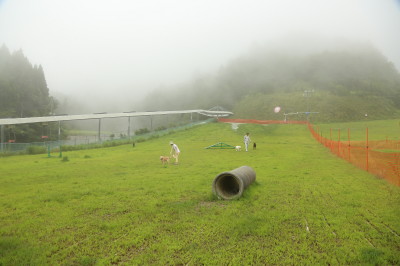 f0037378_20435169.jpg