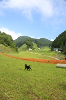 f0037378_20453371.jpg