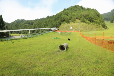 f0037378_2045971.jpg