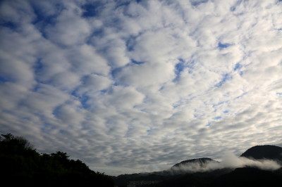 f0037378_23172198.jpg