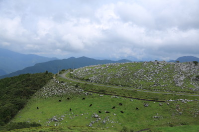 f0037378_23232343.jpg