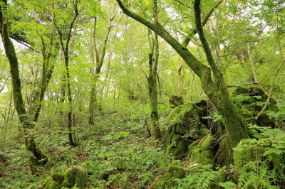 f0037378_23235887.jpg