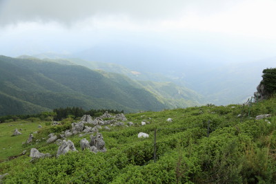 f0037378_23242554.jpg