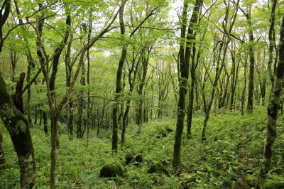 f0037378_2324455.jpg