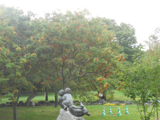 e0148889_16215038.jpg