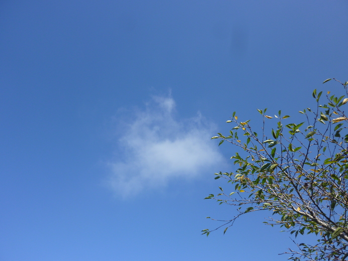 d0333091_18162746.jpg