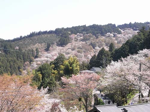b0348195_1069100.jpg